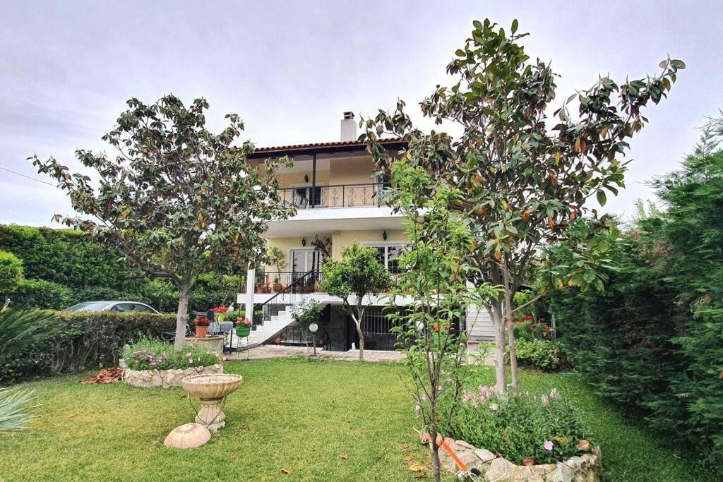 Vacation Studio Oropos Nea Palatia 외부 사진